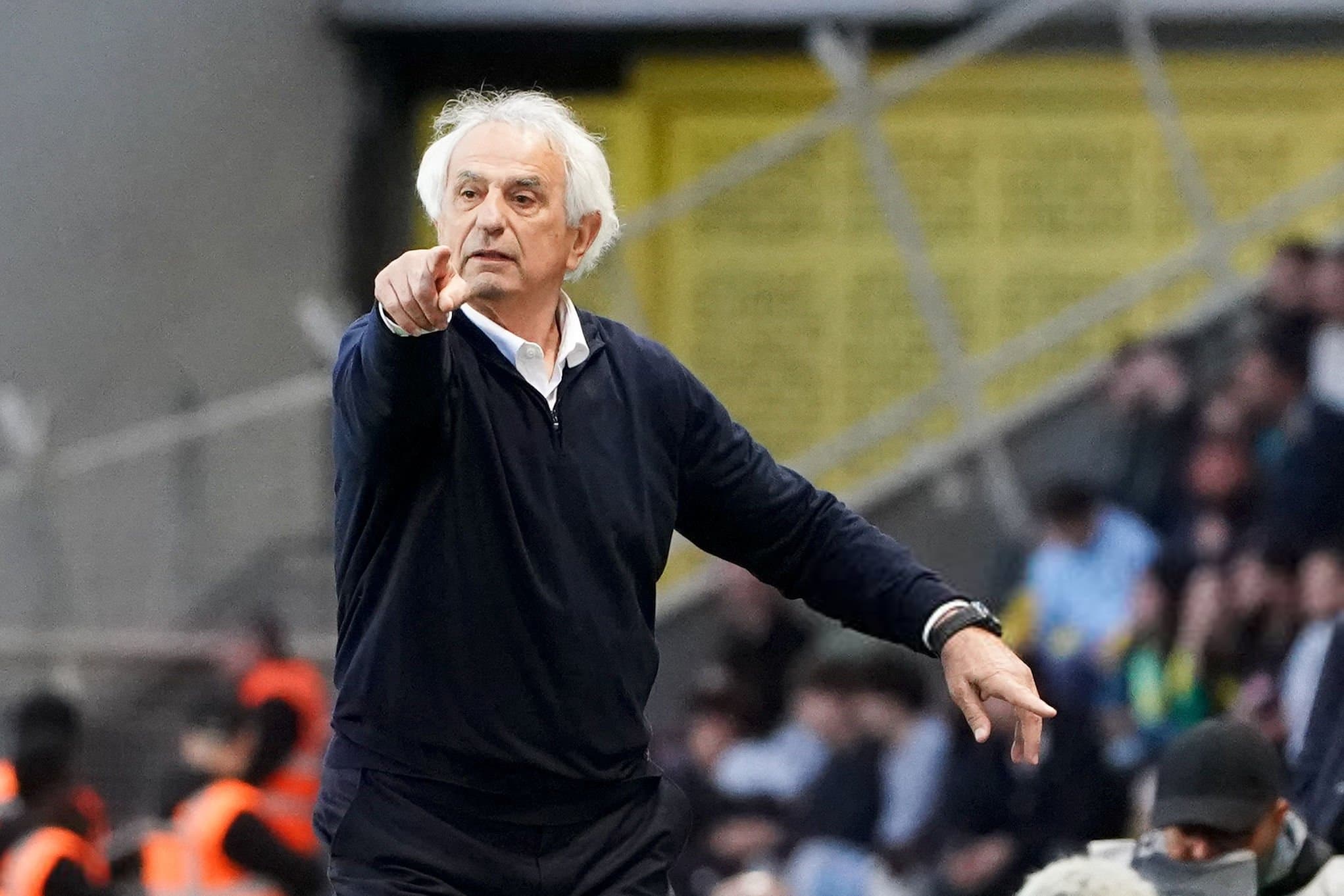Halilhodzic se souvient des Verts : « Ils ont fait souffrir l'Allemagne comme personne »